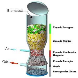 Biomassa